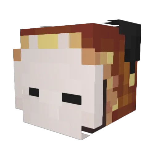 eddiespaghetti96 Minecraft avatar head, 3D render