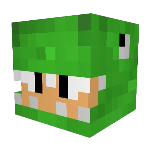 eddievedder Minecraft avatar head, 3D render