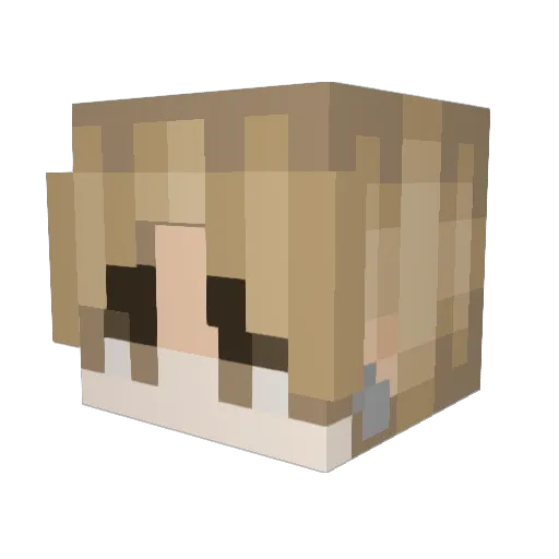 eddwardnek52 Minecraft avatar head, 3D render