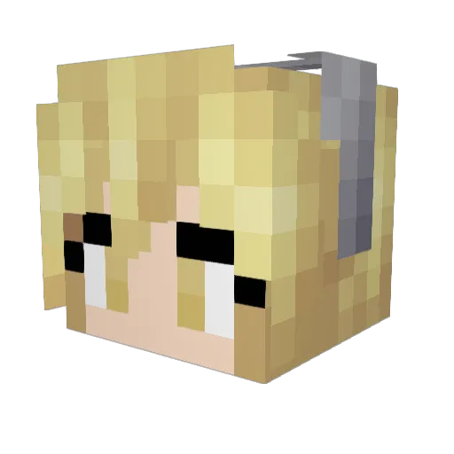 eddysom Minecraft avatar head, 3D render