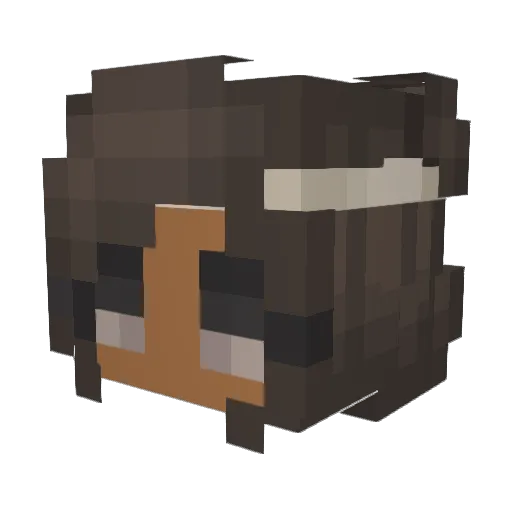 edenxo_ Minecraft avatar head, 3D render