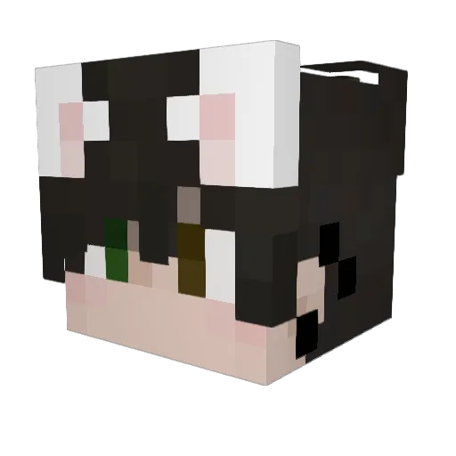 edgarxolea Minecraft avatar head, 3D render