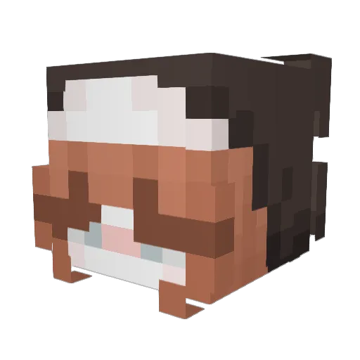 edgetease Minecraft avatar head, 3D render