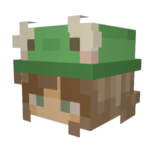 edgymars Minecraft avatar head, 3D render