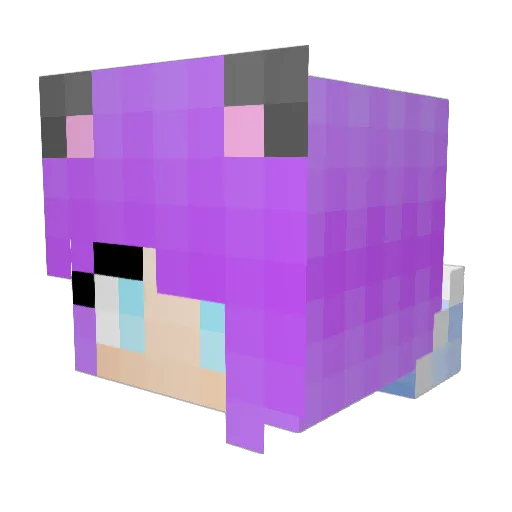 edinboro5 Minecraft avatar head, 3D render