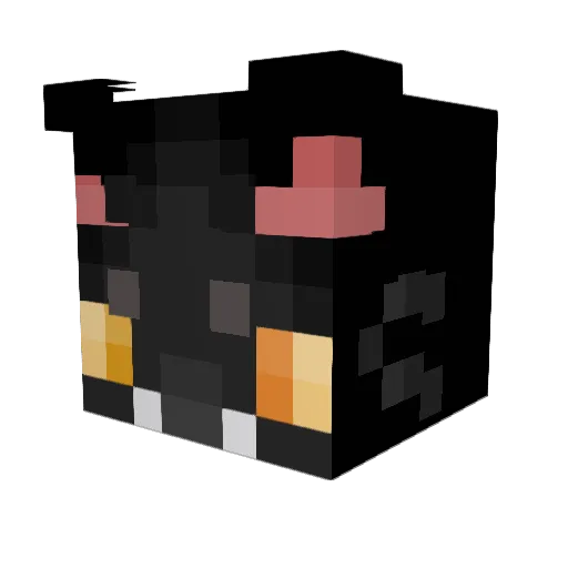 edinick Minecraft avatar head, 3D render