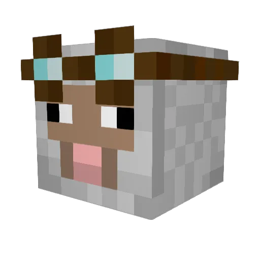 editdeanime Minecraft avatar head, 3D render