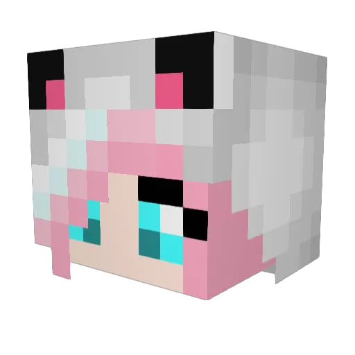 edna2007 Minecraft avatar head, 3D render