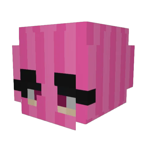 edogg1423 Minecraft avatar head, 3D render