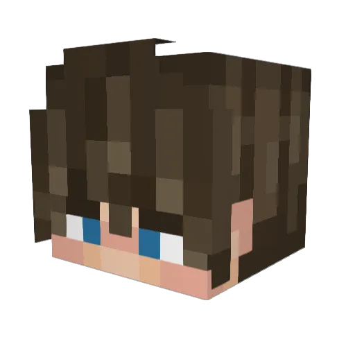 edr_10 Minecraft avatar head, 3D render