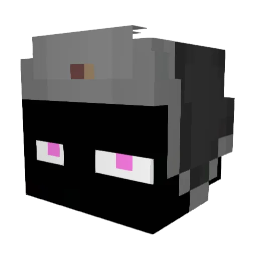 edsn Minecraft avatar head, 3D render