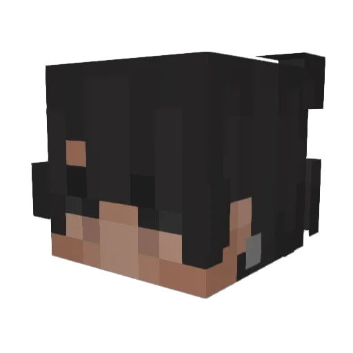 edts Minecraft avatar head, 3D render