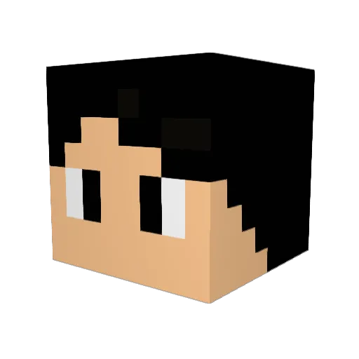 edu12378 Minecraft avatar head, 3D render