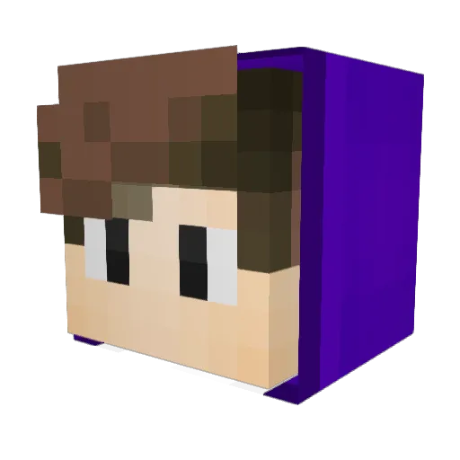 edu_daora Minecraft avatar head, 3D render
