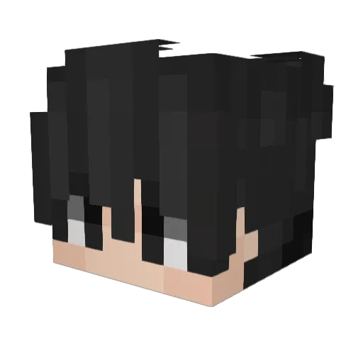 edvanhalenn Minecraft avatar head, 3D render
