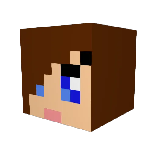 edwin2345 Minecraft avatar head, 3D render