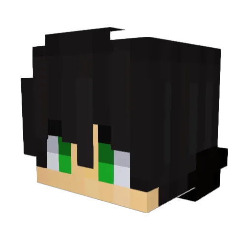 ee_1653 Minecraft avatar head, 3D render