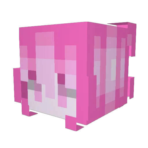 eeastcoast Minecraft avatar head, 3D render