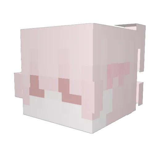 eeby_one Minecraft avatar head, 3D render