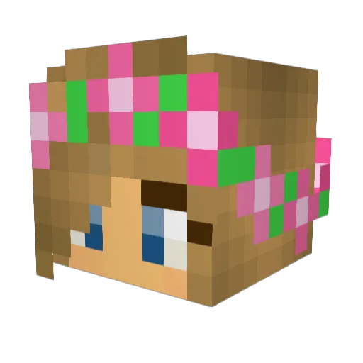 eecjeck Minecraft avatar head, 3D render