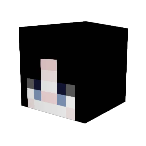 eeean__ Minecraft avatar head, 3D render