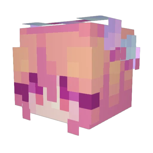 eeeu813 Minecraft avatar head, 3D render