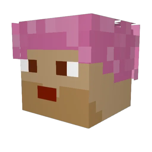 eeka19 Minecraft avatar head, 3D render