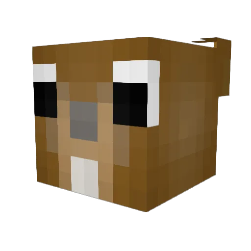 eekhoorn030 Minecraft avatar head, 3D render