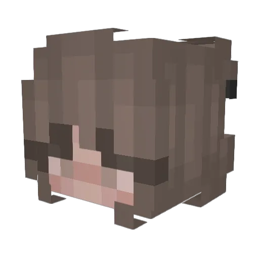 eekyboi Minecraft avatar head, 3D render