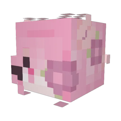 eelama Minecraft avatar head, 3D render