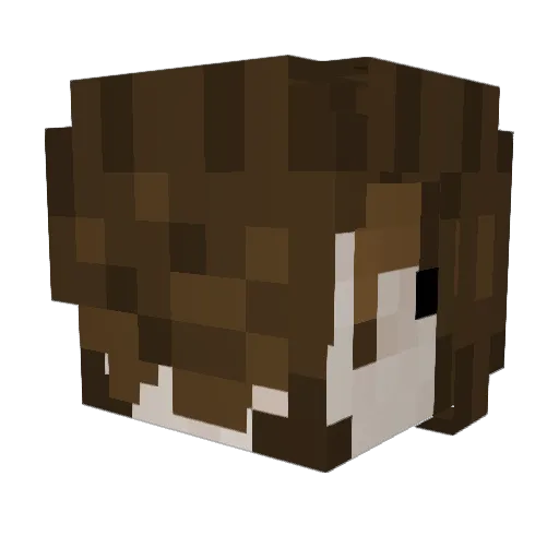 eelioLTG Minecraft avatar head, 3D render