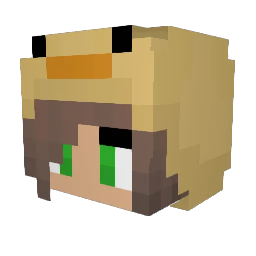 eendjekwak3 Minecraft avatar head, 3D render