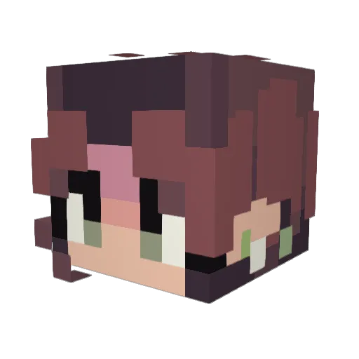 eenhorn3113 Minecraft avatar head, 3D render