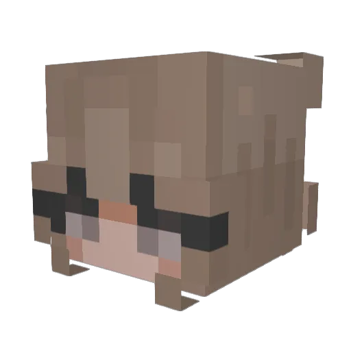 eepiebat Minecraft avatar head, 3D render