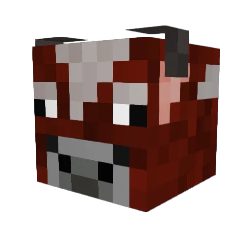 eepy1ng Minecraft avatar head, 3D render