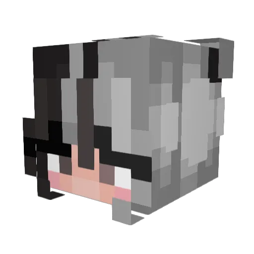 eepymunchy Minecraft avatar head, 3D render