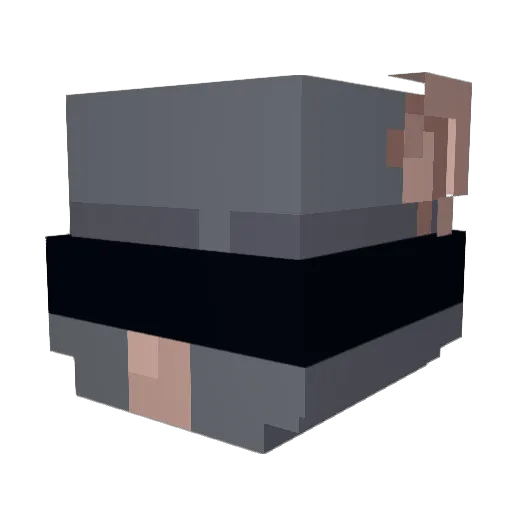 eero_Pepsi Minecraft avatar head, 3D render