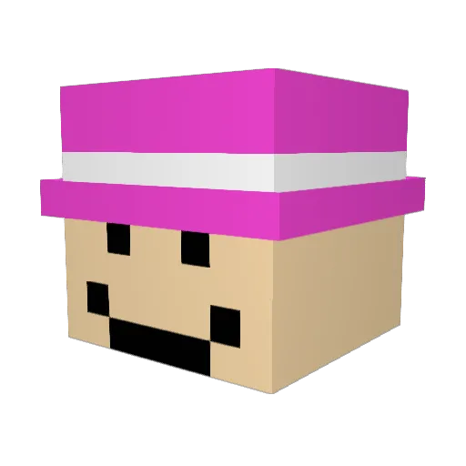 eeropelaa1 Minecraft avatar head, 3D render