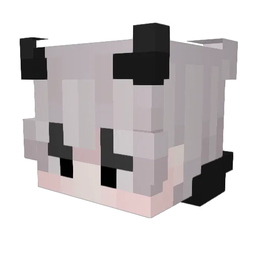 eerwvn Minecraft avatar head, 3D render
