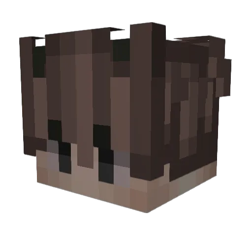 eescx Minecraft avatar head, 3D render