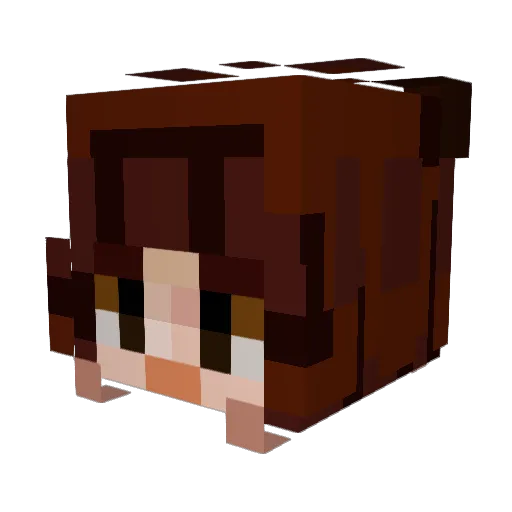 eevaa273 Minecraft avatar head, 3D render