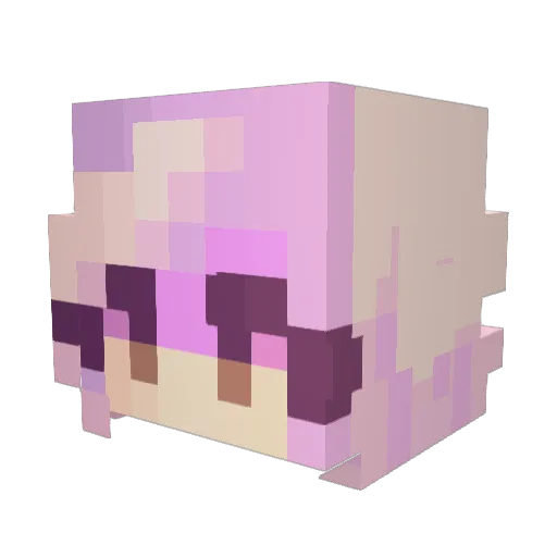 eeveephoe Minecraft avatar head, 3D render