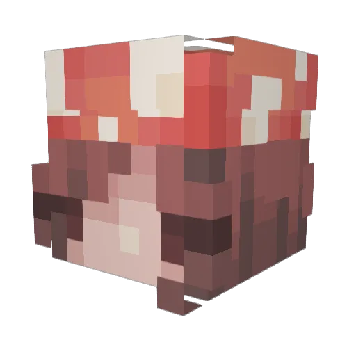 eevie_uwu Minecraft avatar head, 3D render