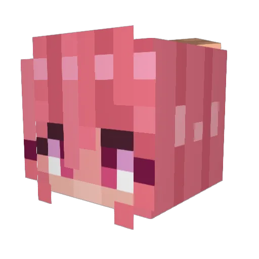 eeyitscoco Minecraft avatar head, 3D render