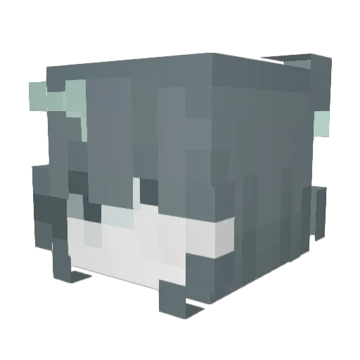 efairyy Minecraft avatar head, 3D render
