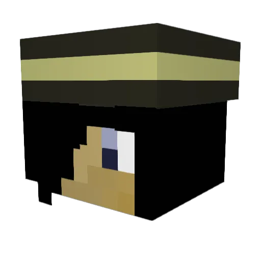 efelefenefe Minecraft avatar head, 3D render