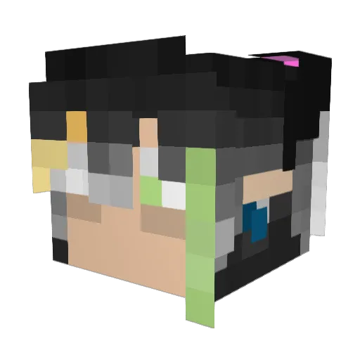 effect_a Minecraft avatar head, 3D render