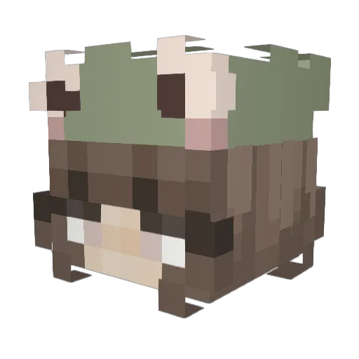 efimero19 Minecraft avatar head, 3D render
