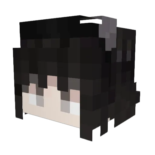eg4ts0h Minecraft avatar head, 3D render