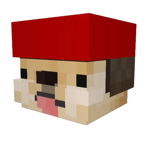 egesnyrt Minecraft avatar head, 3D render